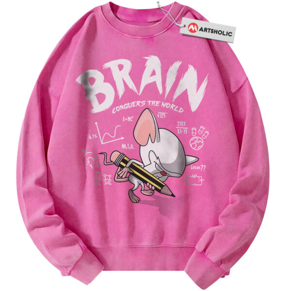 Pinky and the Brain Sweatshirt, Animated Sweatshirt, Vintage Sweater