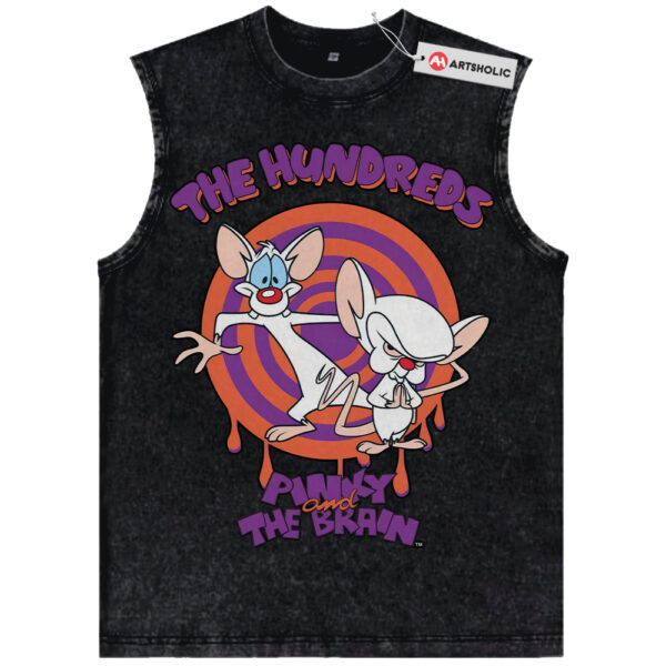 Pinky and the Brain Shirt, Animated Shirt, Vintage T-Shirt